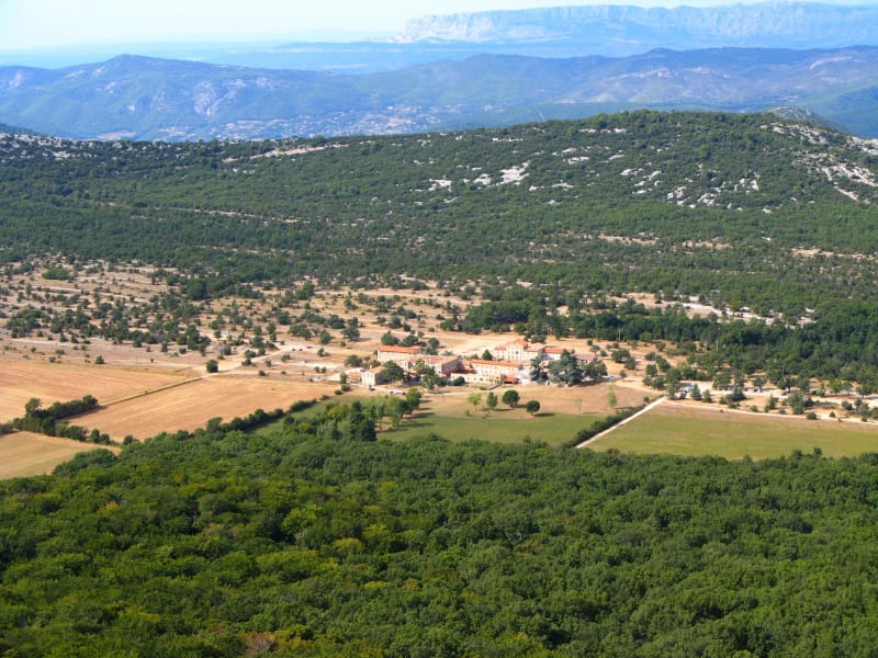 Immersion en forêt de la Sainte-Baume depuis Riboux - Riboux
