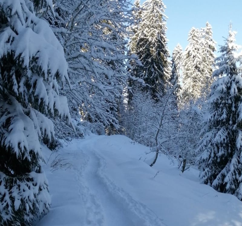 Sneeuwschoenwandeling van Croix-d'Agy naar chalet Les Sommards - Saint-Sigismond, Cluses