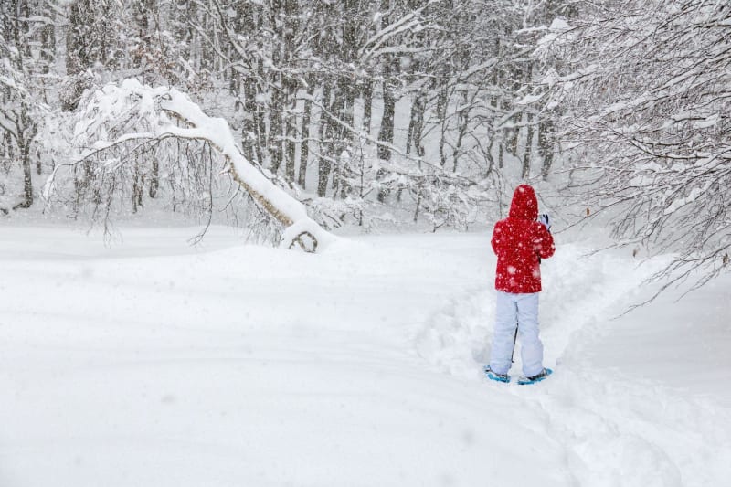 Les Auréous, l'hiver en pente douce à Ancelle - Ancelle