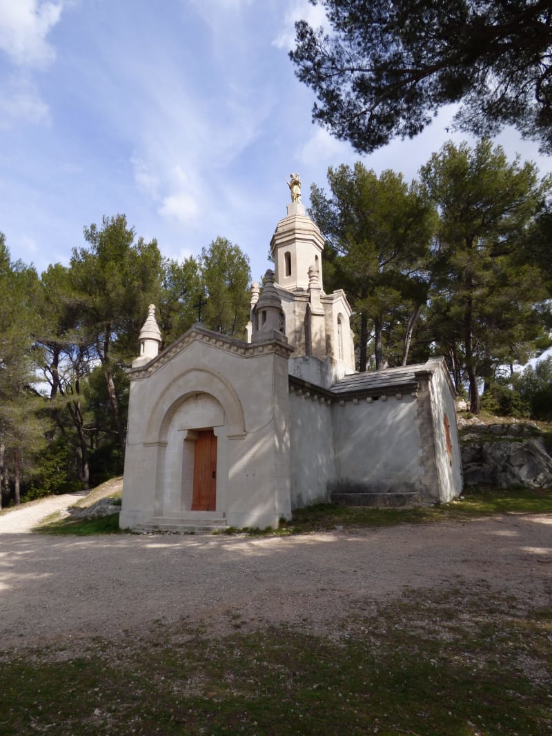 Foret de Cuges-les-Pins, au cœur de la Sainte-Baume - Cuges-les-Pins (Riboux)