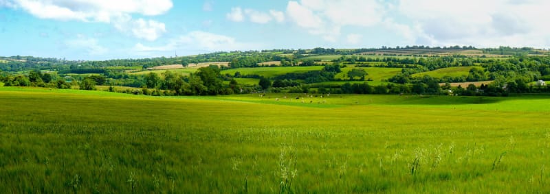 Découverte de Fourneaux et de ses hameaux champêtres - Fourneaux