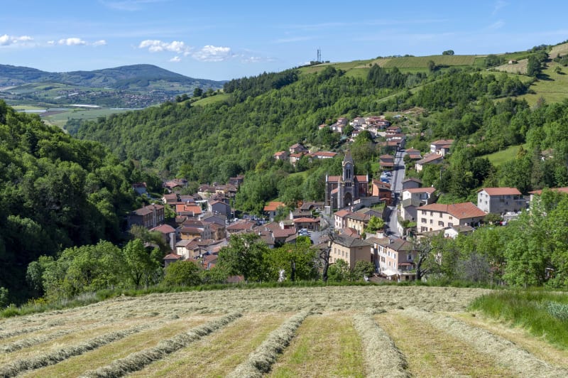 Nature apaisante et découverte de Courzieu - Courzieu