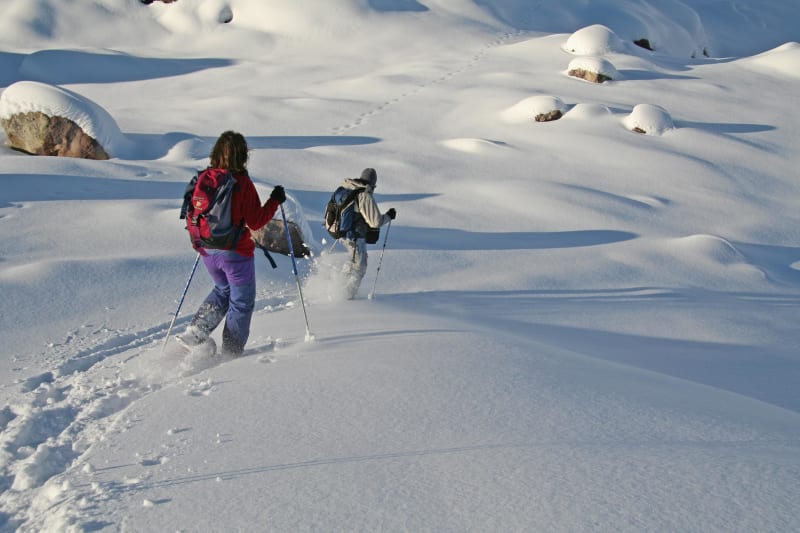 Montée sur le plateau et le col des Thures - Névache