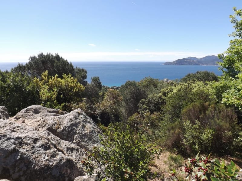 De Croix des Gardes, op de hoogten van de stad - Cannes