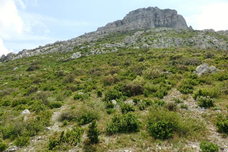 Eyguières et le cirque de Borme - Eyguières