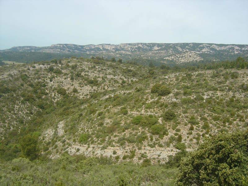 Micro-aventure dans la réserve biologique du Petit Luberon - Cheval-Blanc