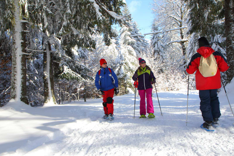 En raquette au Chemin Perrer - Mont-Dore