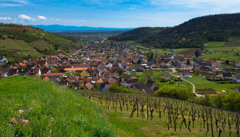 Westhalten et excursion exquise le long d'une mer de vignes - Westhalten