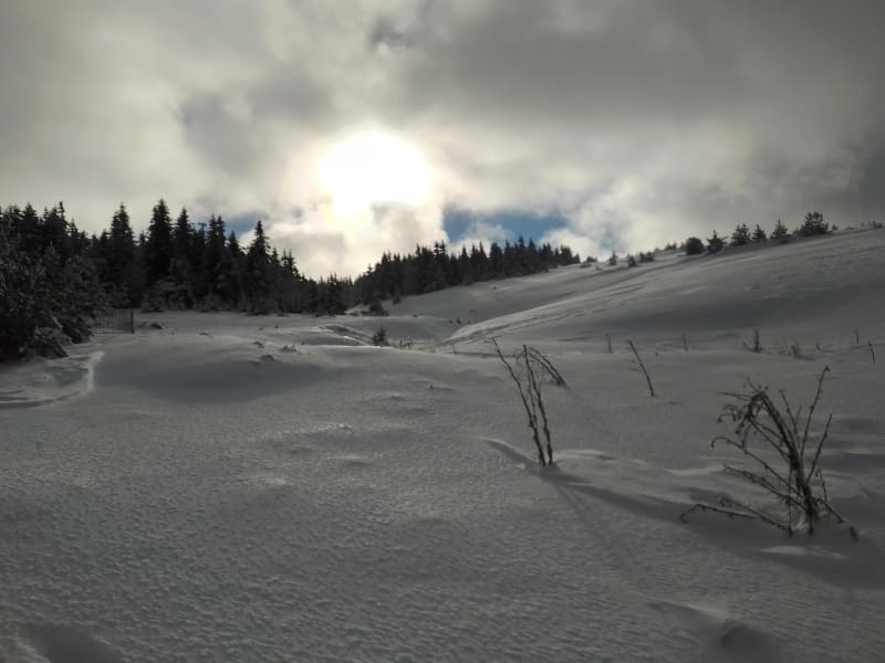 Échappée sur les grands espaces enneigés du Mont-Lozère - Pont-de-Montvert