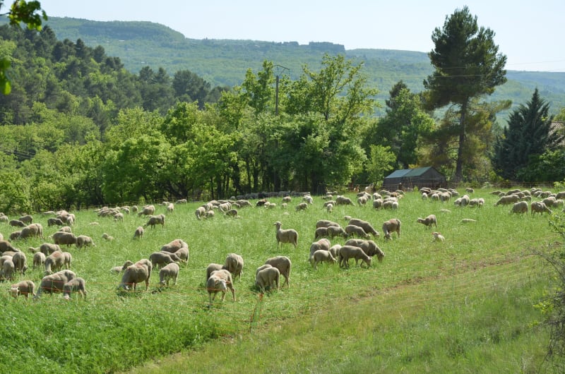 Aller-retour étonnant entre Rustrel et le site de Beausses - Rustrel