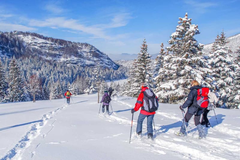 Les crêtes de l'Arselle à raquettes - Chamrousse