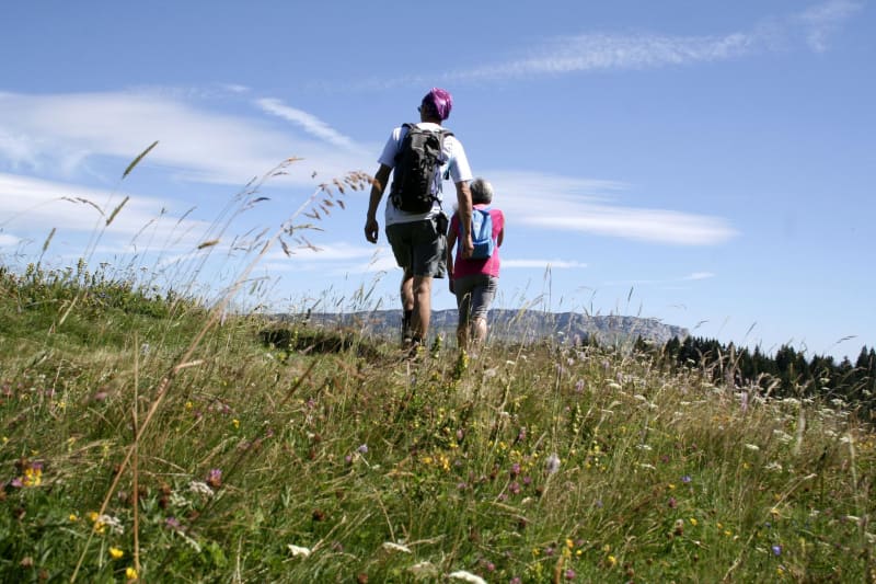 Rando autour de Villechenève et petit bout du GR® 7 - Villechenève