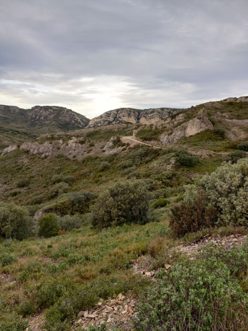 Le Jas du Pezou - Saint Rémy de Provence