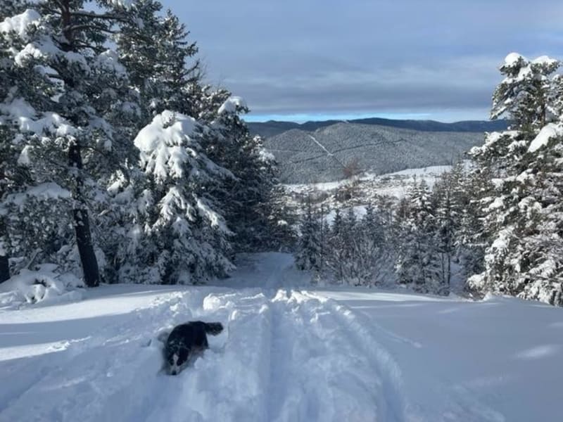 Tremplin vert des Monts du Pilat à raquettes - Le Bessat