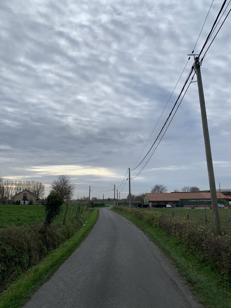 Campagne de Linselles - Linselles