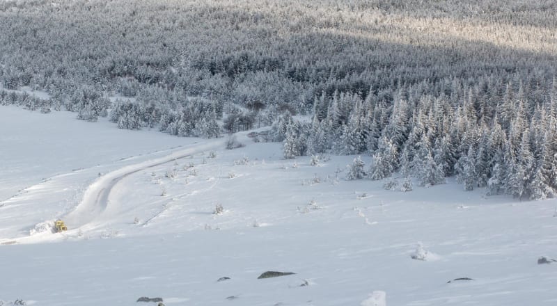 Col de Finiels et évasion en forêt du Mont-Lozère - Pont-de-Montvert-Sud-Mont-Lozère
