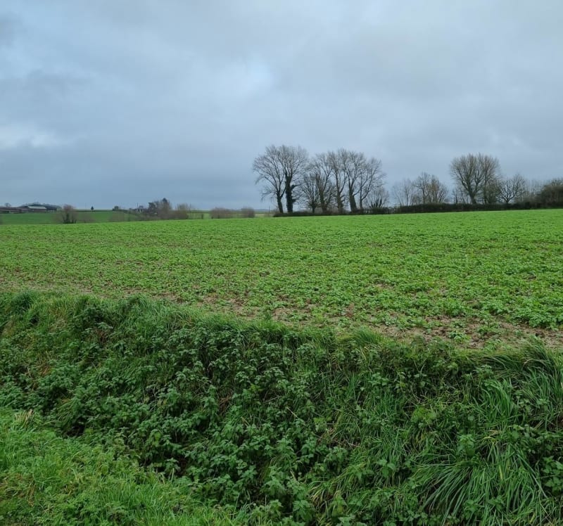 Sentier du Mont-Kokereel - Boeschepe