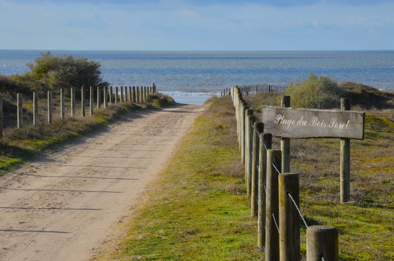 Notre-Dame-de-Monts : virée apaisante de la dune aux marais - Notre-Dame-de-Monts