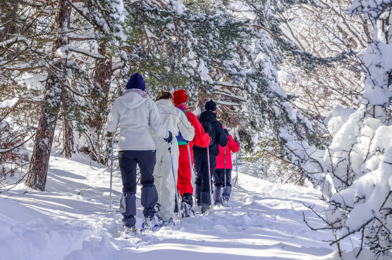 Le Bessat et balade familiale dans une forêt blanche - Le Bessat