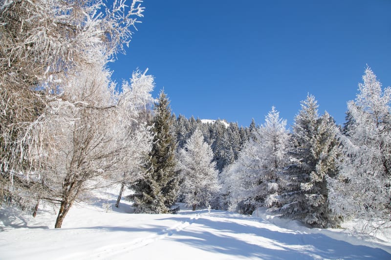 Vésubie sous la neige et circuit de Mantégas - La Bollène-Vésubie