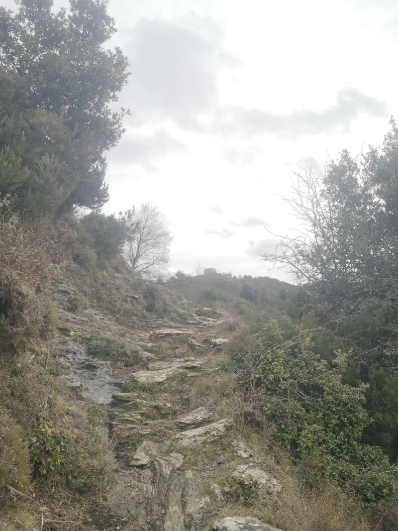 San Bartolu par Monacia-d'Orezza - Monacia-d'Orezza