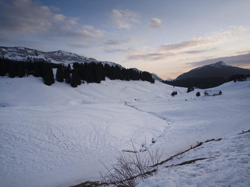 Sur le Plateau des Glières en hiver - Fillière
