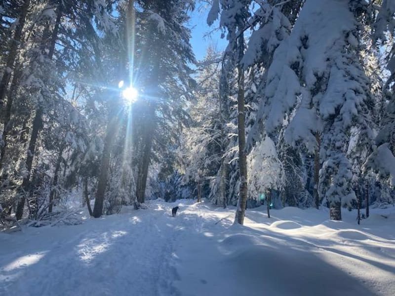 Virée à la Pointe du Frou en hiver - La Ruchère