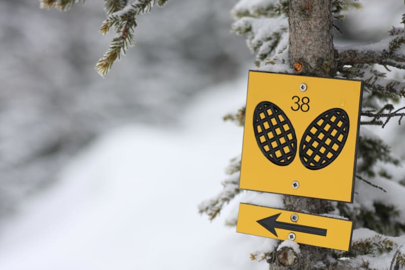 Boucle blanche sous les bois et vers le ruisseau de Salinière - Chamrousse
