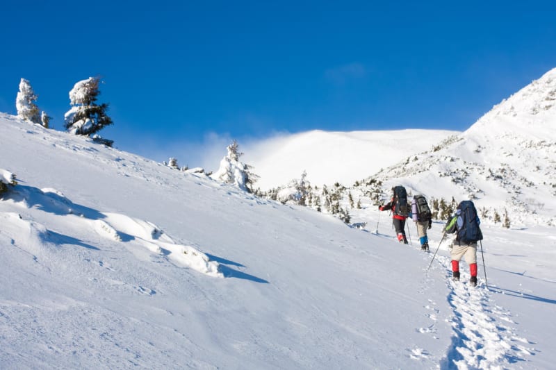 Les Signaraux via la Côte de l'Aup - La Motte-d'Aveillans