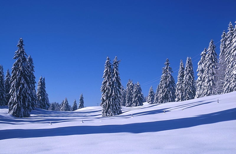 Promenade hivernale à Champ la Gaille - Cerniébaud