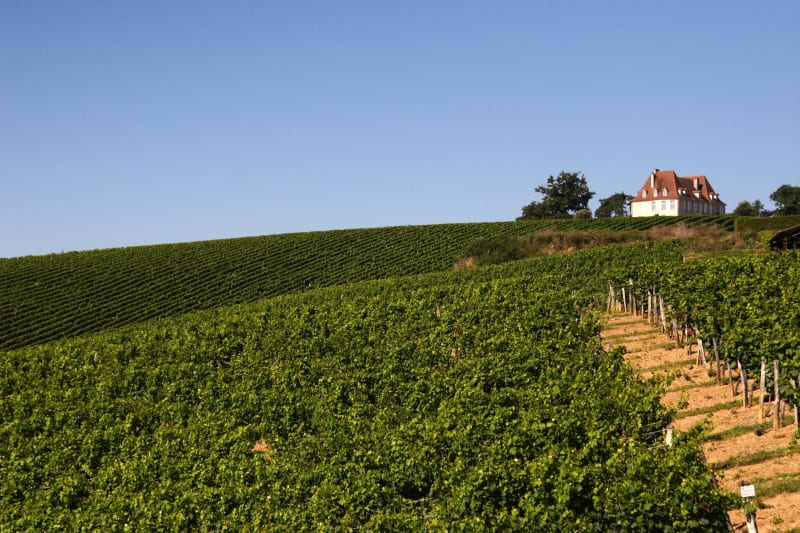 Au large de Crouseilles, entre vignes et château - Crouseilles