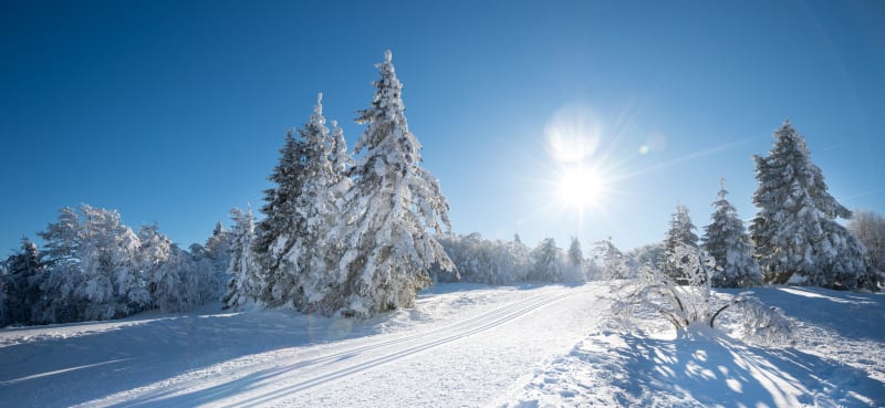 Balade du Col du Ballon d'Alsace à la Gentiane - Saint-Maurice-sur-Moselle