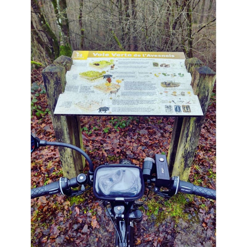 Tour des étangs de l'Avesnois en forêt de l'abbé Val Joly - Sains-du-Nord
