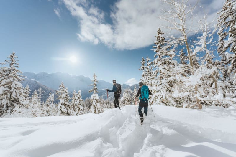 Autour du Col des Prés à raquettes - Aillon-le-Jeune