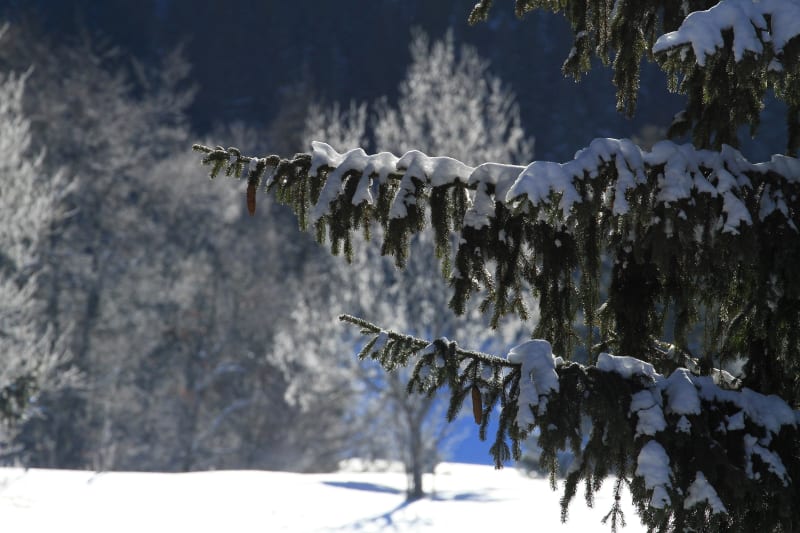Virée athlétique au hameau de la Glappaz - Habère-Poche