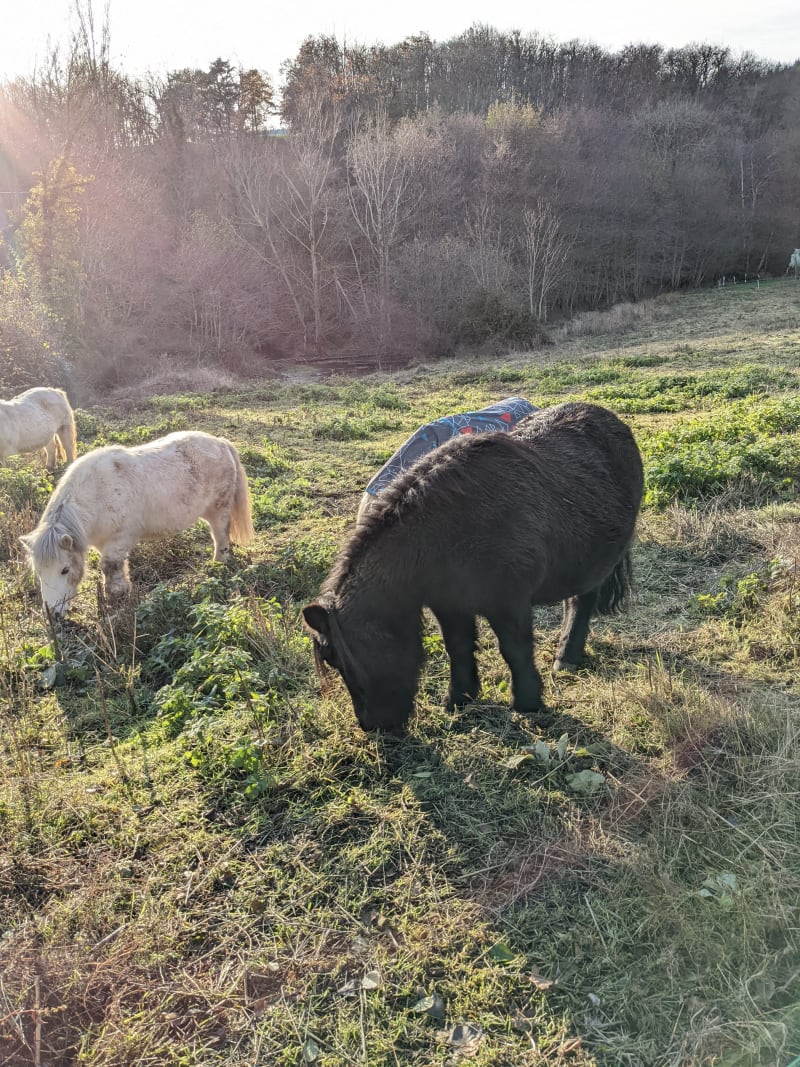 Petite balade vers Pollionnay - Vaugneray