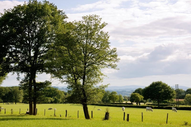 De heuvels van Pouydraguin - Pouydraguin, Riscle