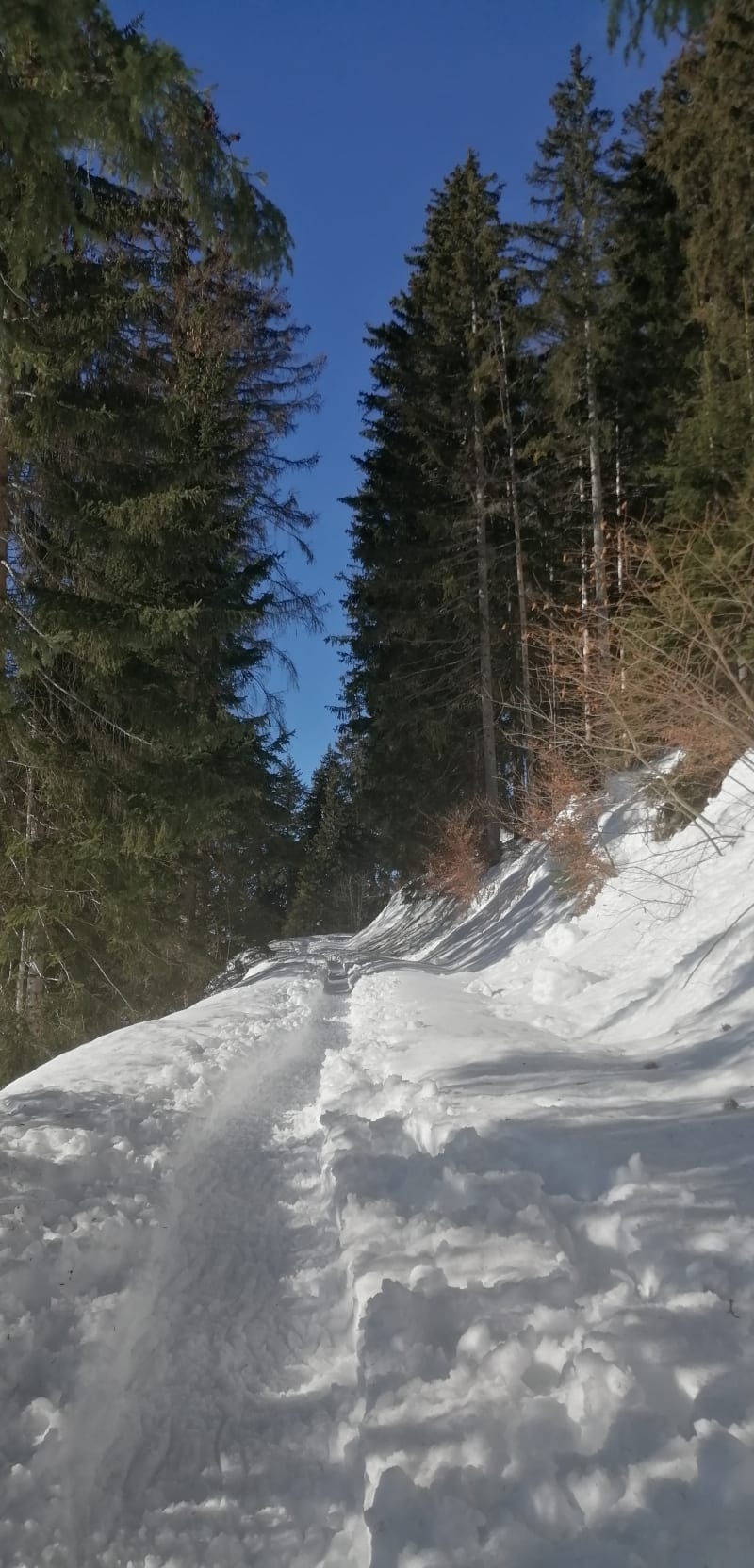 En direction du plateau de Loëx en raquettes - Verchaix