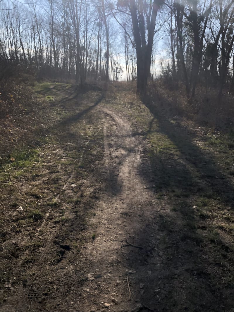 Le long de L'Ouche à Neuilly-Lès-Dijon - Neuilly-Lès-Dijon