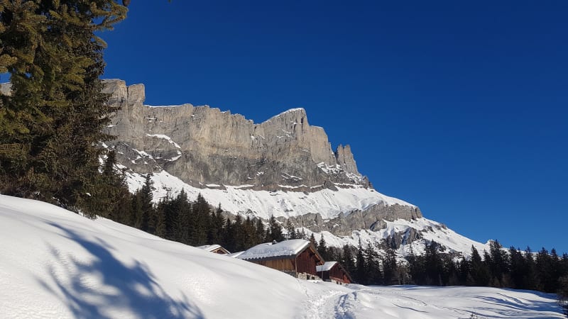 Randonnée hivernale à Barmus et sa vue époustouflante - Plateau-d'Assy - Plaine-Joux