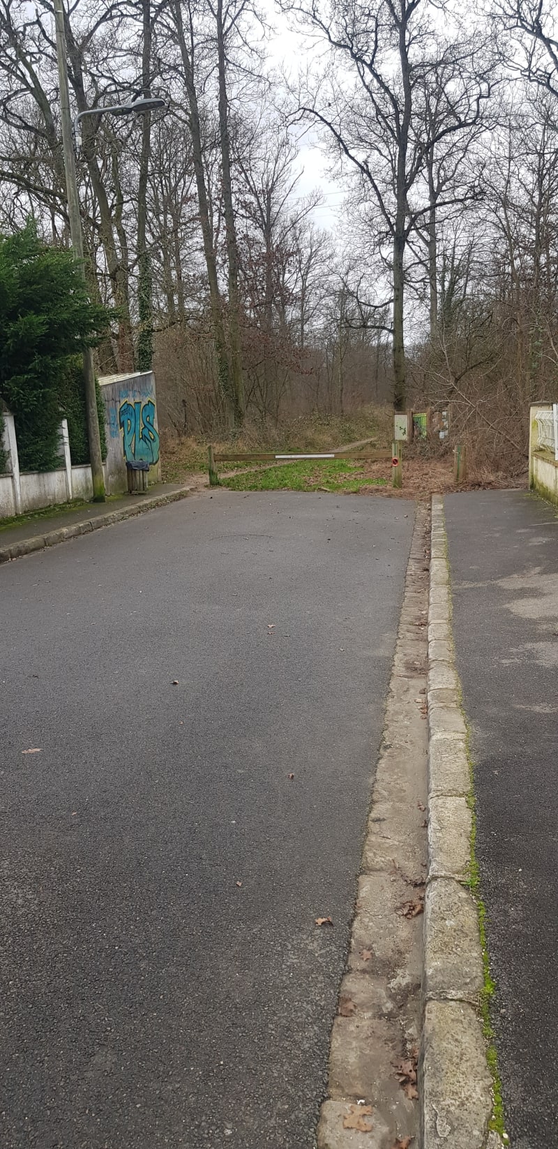 Forêt de Sénart à VTC, de Boussy-Saint-Antoine - Quincy-sous-Sénart