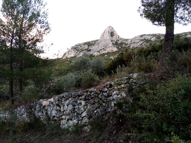 Balade digestive au parc des Bruyères au départ de Saint-Tronc - Marseille