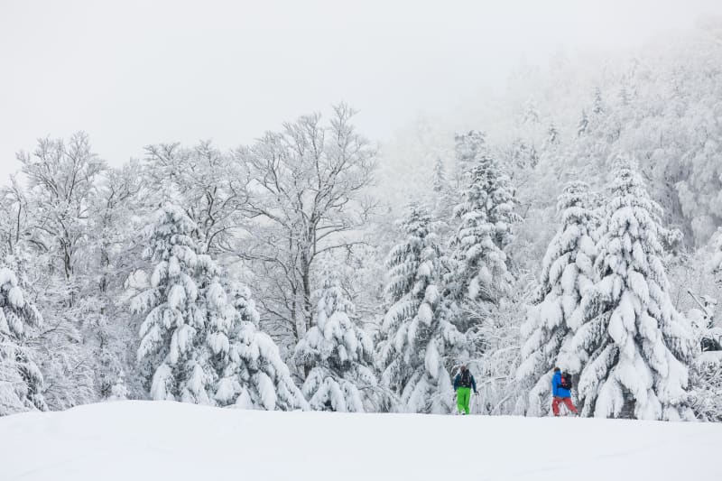 Langs La Biennette op sneeuwschoenen - Prémanon