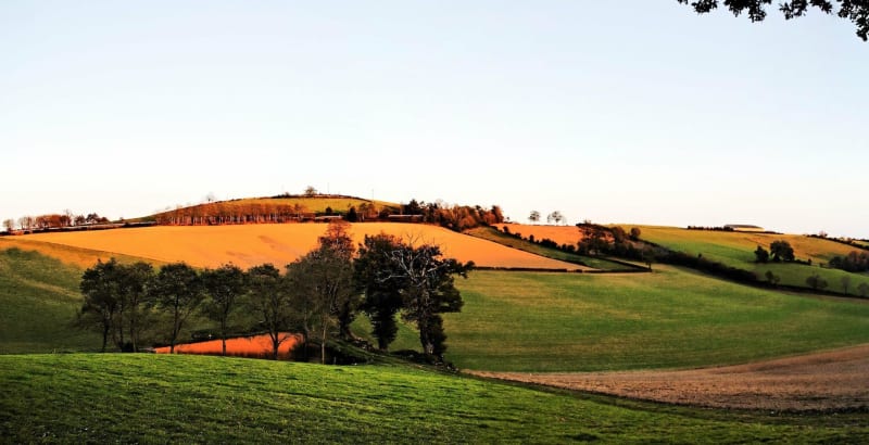 Par le bois de Castillon Massas - Castillon-Massas