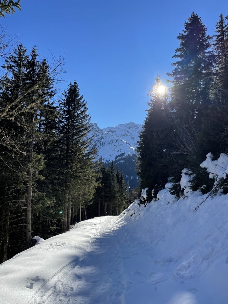 Le Pleynet de bas en haut - Le Haut-Bréda