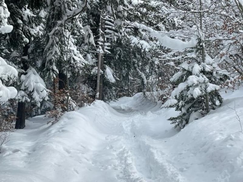 Excursion givrée au Mont Forchat - Lullin