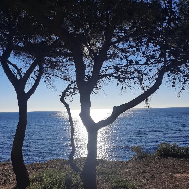 Le sentier du littoral de Sausset-les-pins à Carry-le-rouet - Sausset-les-Pins