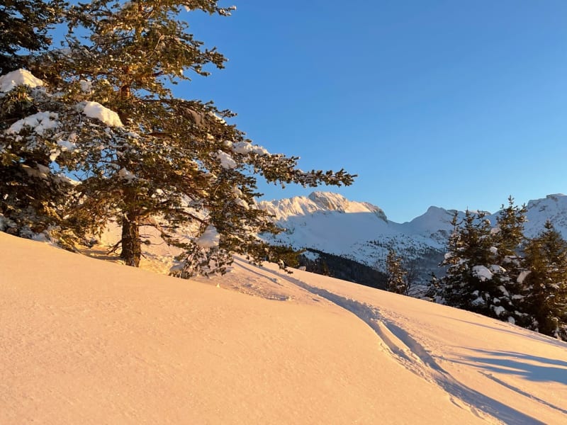 Les chemins cachés de Villard - Villard de Lans
