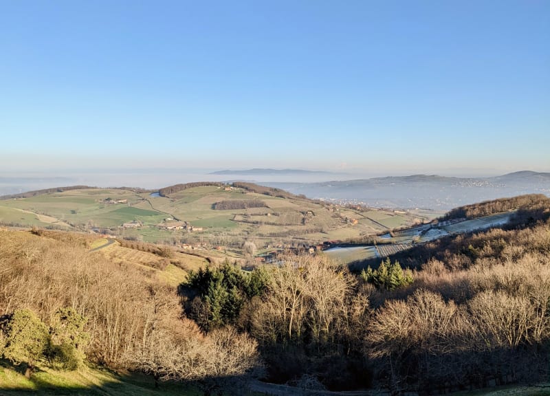 Boucle depuis Savigny (Rhône) - Savigny