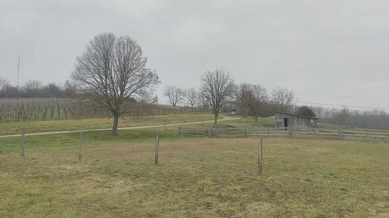 Boucles de l'émetteur à Nordheim - Nordheim, Strasbourg